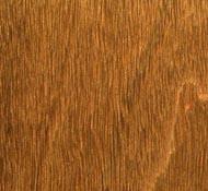 Bangkirai les, površinska struktura Struktura lesa bankirai, Indonezija