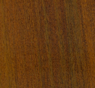 Les ipe, zelo trd in odporen les brazilskega izvora, primeren za obremenjene terase 